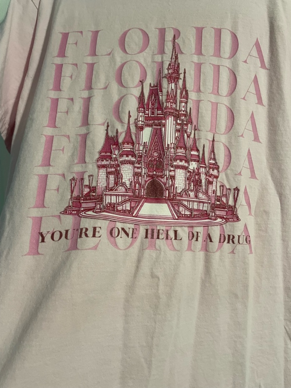 Disney Land Florida Pink Graphic Tee - Picture 4 of 6